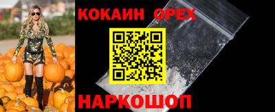 стаф Новодвинск