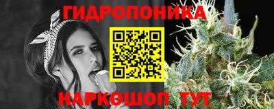 стаф Новодвинск
