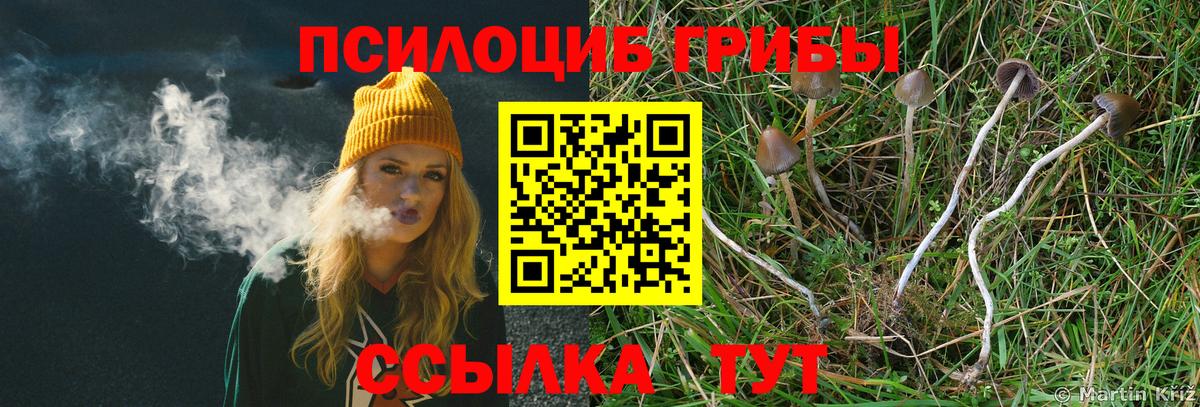 Галлюциногенные грибы Psilocybine cubensis Туапсе