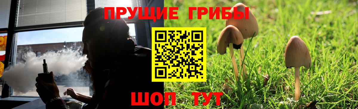 Галлюциногенные грибы прущие грибы  Псилоцибиновые грибы мицелий  Туапсе  Вход с VPN 
